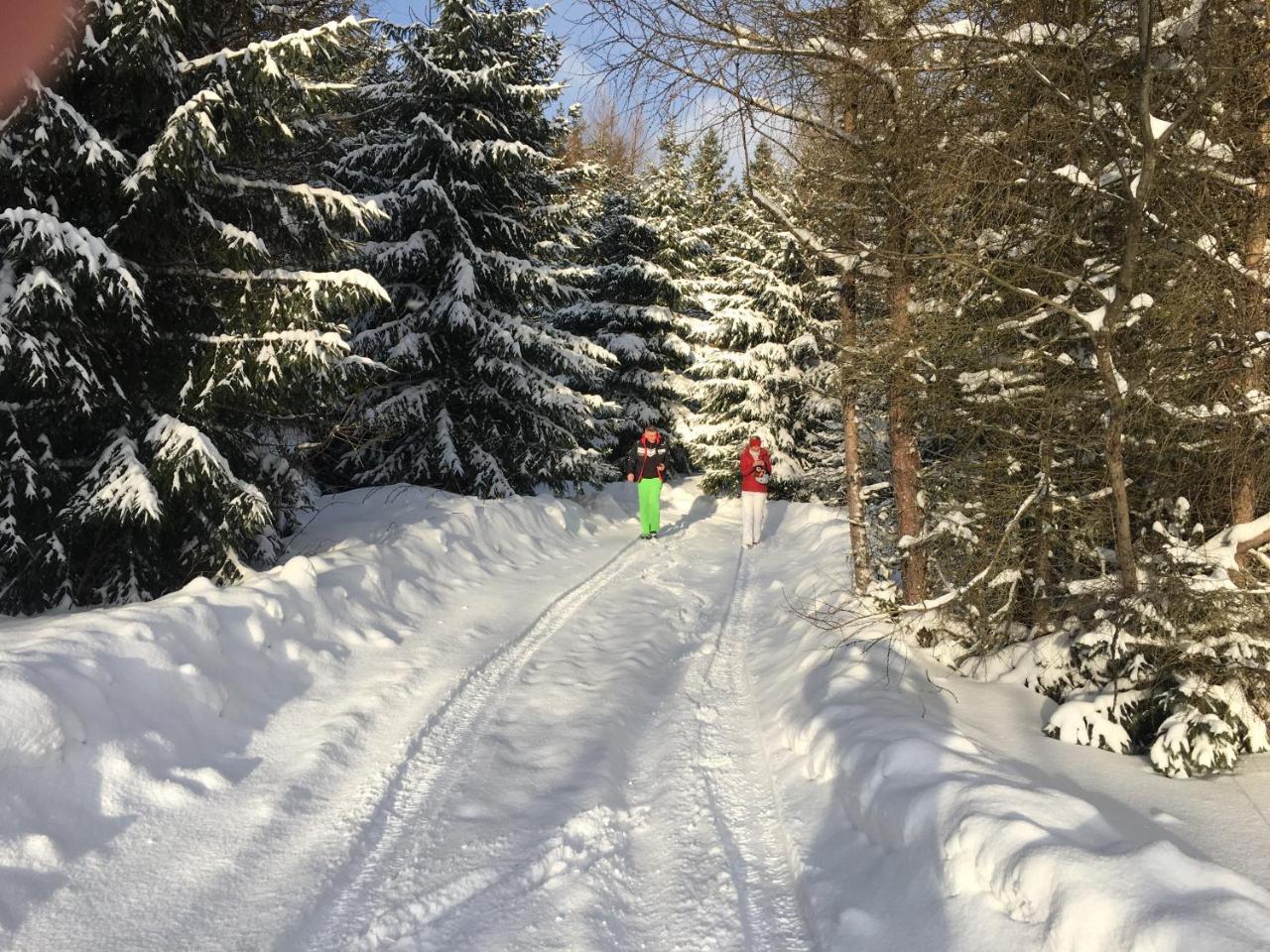 Chalet Rackova Dolina Βίλα Pribylina Εξωτερικό φωτογραφία