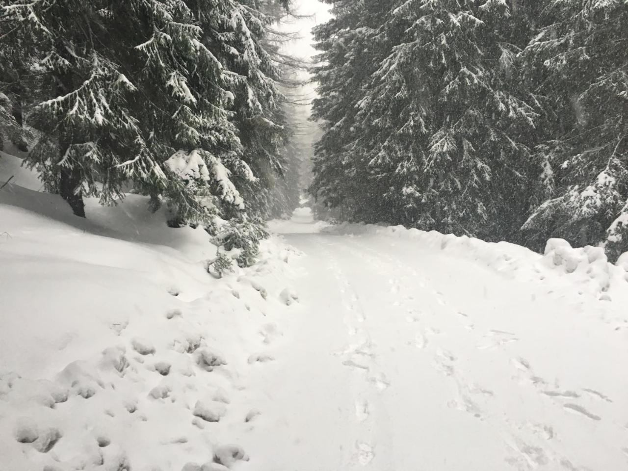 Chalet Rackova Dolina Βίλα Pribylina Εξωτερικό φωτογραφία